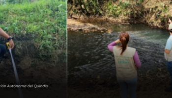 CRQ atiende 171 denuncias por afectaciones ambientales en el primer trimestre del 2024