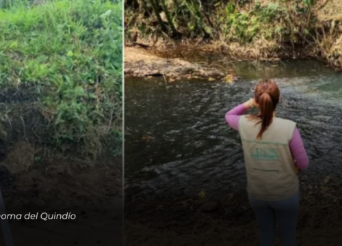 CRQ atiende 171 denuncias por afectaciones ambientales en el primer trimestre del 2024